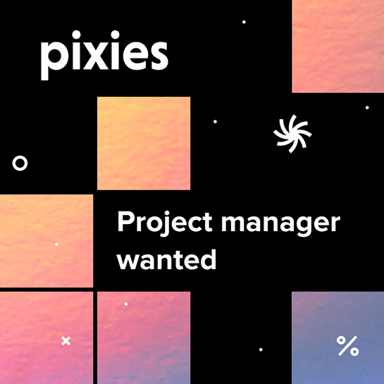 project-manager-pixies1111111